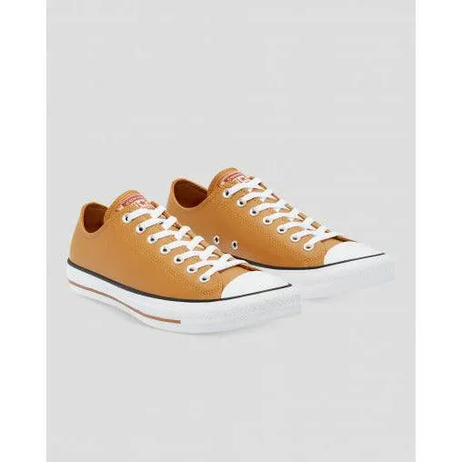 Converse Chuck Taylor All Star Summer Daze Low Top Shoe