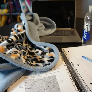 Throws - Study Buddy - Leopard Print